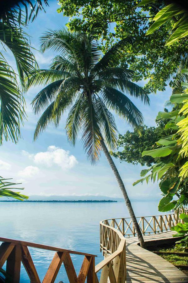 Banana Palms Hotel 里约杜尔塞 外观 照片